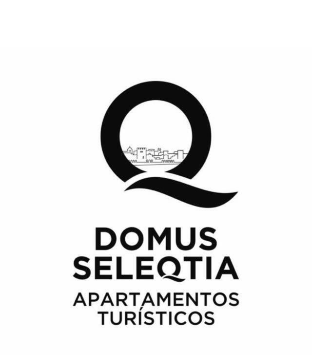 Domus Seleqtia Plaza De Santiago Cáceres Exterior foto